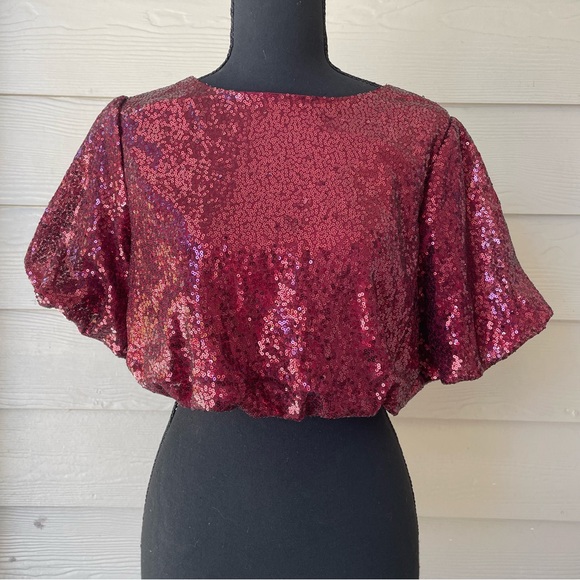Day + Moon Tops - Day + Moon Cranberry  Sequin Top 
Size S